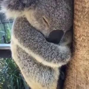 Meet your Posher, Debborah